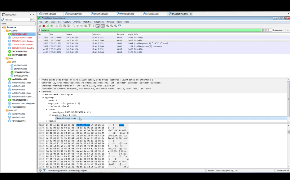 Wireshark Screen