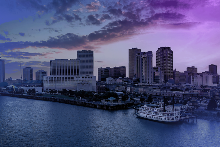 Wide landscape of New Orleans